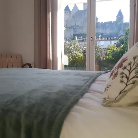 Maison Vue Exceptionnelle-parking Prive Gratuit Hotel Carcassonne